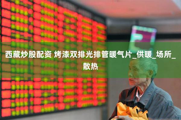 西藏炒股配资 烤漆双排光排管暖气片_供暖_场所_散热