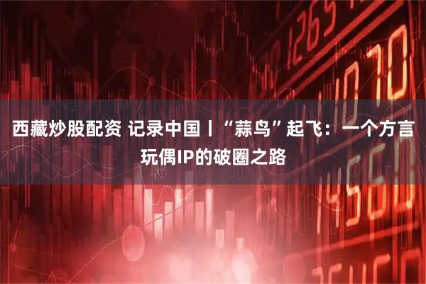 西藏炒股配资 记录中国丨“蒜鸟”起飞：一个方言玩偶IP的破圈之路